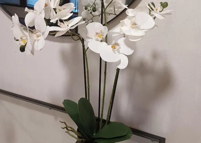 Finlandia, At The Border Of Finland And Sweden Tornio